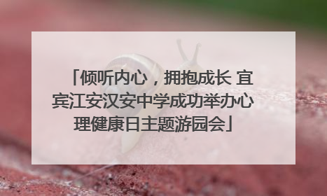 倾听内心，拥抱成长 宜宾江安汉安中学成功举办心理健康日主题游园会