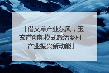 借艾草产业东风，玉玄道创新模式激活乡村产业振兴新动能