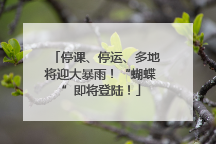 停课、停运、多地将迎大暴雨！“蝴蝶”即将登陆！