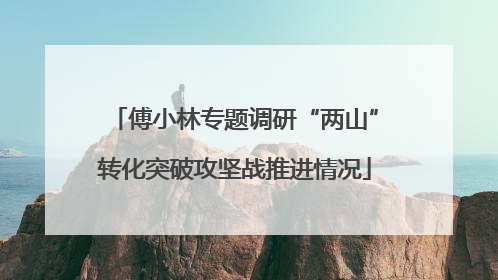 傅小林专题调研“两山”转化突破攻坚战推进情况