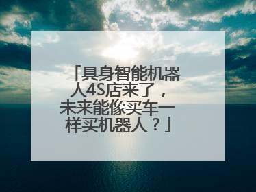 具身智能机器人4S店来了，未来能像买车一样买机器人？