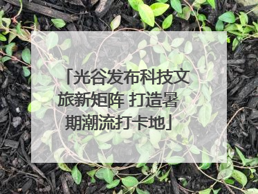 光谷发布科技文旅新矩阵 打造暑期潮流打卡地