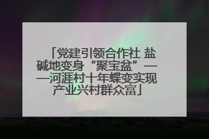 党建引领合作社 盐碱地变身“聚宝盆”——河涯村十年蝶变实现产业兴村群众富