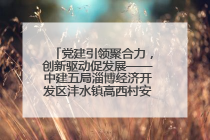 党建引领聚合力，创新驱动促发展——中建五局淄博经济开发区沣水镇高西村安置项目建设纪实