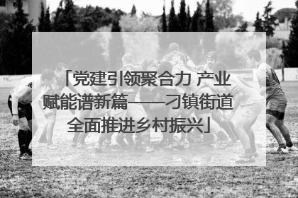 党建引领聚合力 产业赋能谱新篇——刁镇街道全面推进乡村振兴
