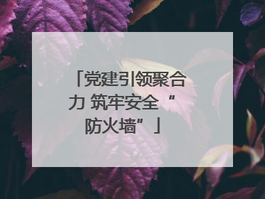 党建引领聚合力 筑牢安全“防火墙”