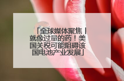 全球媒体聚焦丨就像过量的药！美国关税可能阻碍该国电池产业发展