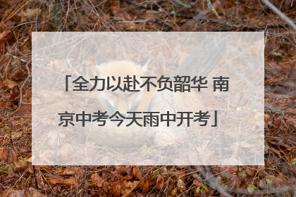全力以赴不负韶华 南京中考今天雨中开考