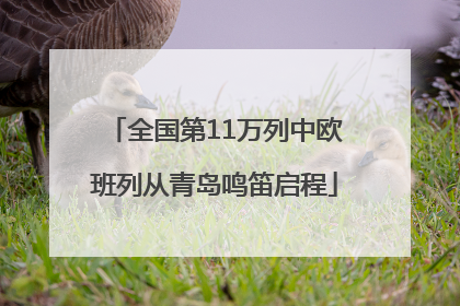全国第11万列中欧班列从青岛鸣笛启程
