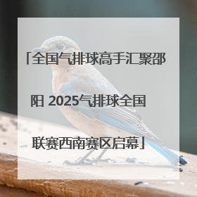 全国气排球高手汇聚邵阳 2025气排球全国联赛西南赛区启幕