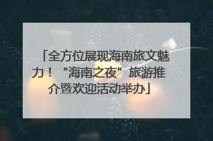 全方位展现海南旅文魅力！“海南之夜”旅游推介暨欢迎活动举办