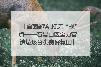 全面部署 打造“靓” 点——石景山区全力营造垃圾分类良好氛围