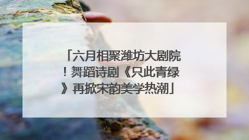 六月相聚潍坊大剧院！舞蹈诗剧《只此青绿》再掀宋韵美学热潮