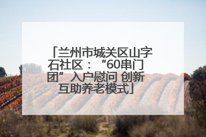 兰州市城关区山字石社区：“60串门团”入户慰问 创新互助养老模式