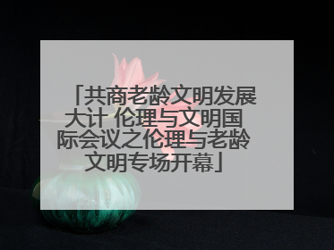 共商老龄文明发展大计 伦理与文明国际会议之伦理与老龄文明专场开幕
