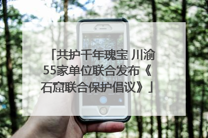 共护千年瑰宝 川渝55家单位联合发布《石窟联合保护倡议》