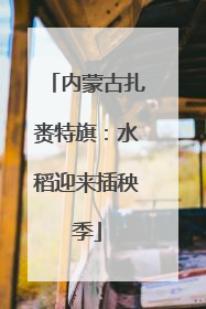 内蒙古扎赉特旗：水稻迎来插秧季