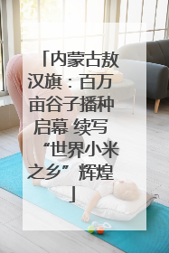 内蒙古敖汉旗：百万亩谷子播种启幕 续写“世界小米之乡”辉煌