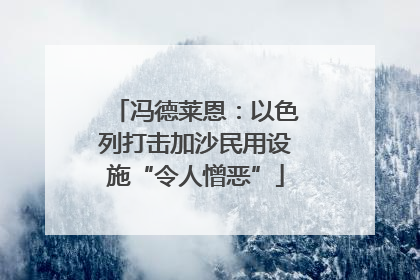 冯德莱恩：以色列打击加沙民用设施“令人憎恶”