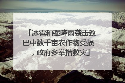 冰雹和强降雨袭击致巴中数千亩农作物受损，政府多举措救灾