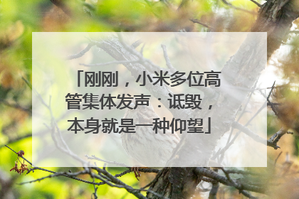 刚刚，小米多位高管集体发声：诋毁，本身就是一种仰望