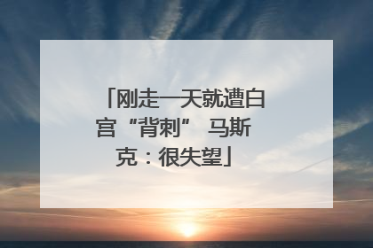 刚走一天就遭白宫“背刺” 马斯克：很失望