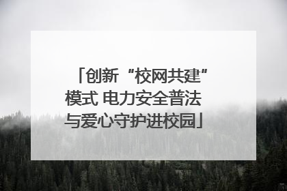创新“校网共建”模式 电力安全普法与爱心守护进校园