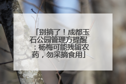 别摘了！成都玉石公园管理方提醒：杨梅可能残留农药，勿采摘食用