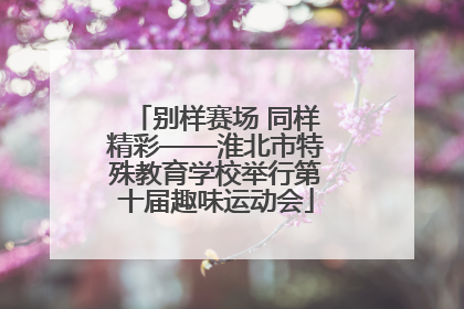 别样赛场 同样精彩——淮北市特殊教育学校举行第十届趣味运动会