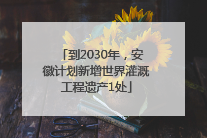 到2030年，安徽计划新增世界灌溉工程遗产1处