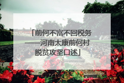 前何不富不回税务——河南太康前何村脱贫攻坚口述