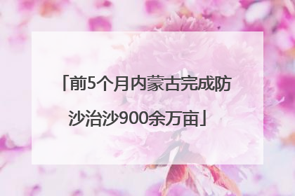 前5个月内蒙古完成防沙治沙900余万亩