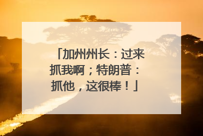 加州州长：过来抓我啊；特朗普：抓他，这很棒！