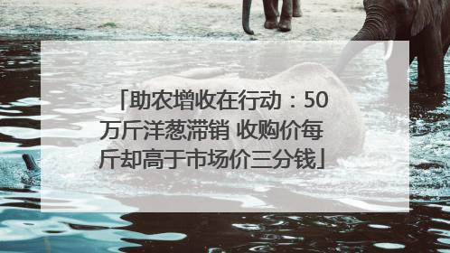 助农增收在行动：50万斤洋葱滞销 收购价每斤却高于市场价三分钱