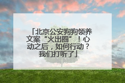 北京公安狗狗领养文案“火出圈”！心动之后，如何行动？我们打听了