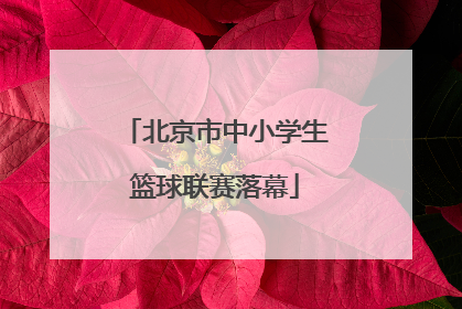 北京市中小学生篮球联赛落幕