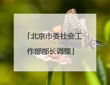 北京市委社会工作部部长调整