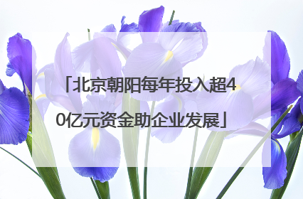 北京朝阳每年投入超40亿元资金助企业发展