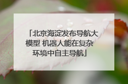 北京海淀发布导航大模型 机器人能在复杂环境中自主导航