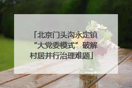 北京门头沟永定镇“大党委模式”破解村居并行治理难题
