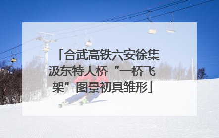 合武高铁六安徐集汲东特大桥“一桥飞架”图景初具雏形