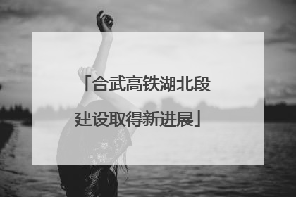 合武高铁湖北段建设取得新进展