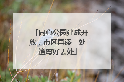 同心公园建成开放，市区再添一处遛弯好去处