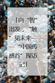 向“智”出发，“触”见未来——“中国传感谷”探访记