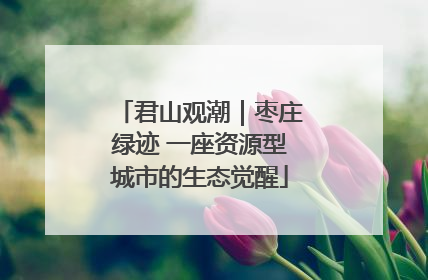君山观潮｜枣庄绿迹 一座资源型城市的生态觉醒