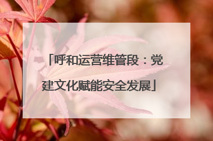 呼和运营维管段：党建文化赋能安全发展