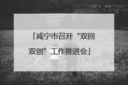 咸宁市召开“双回双创”工作推进会