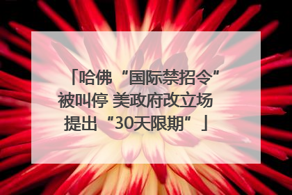 哈佛“国际禁招令”被叫停 美政府改立场提出“30天限期”
