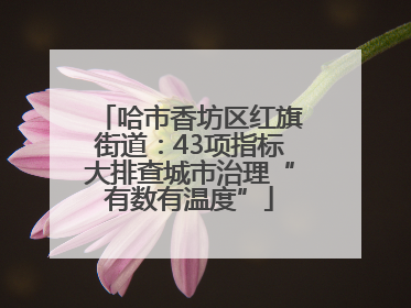哈市香坊区红旗街道：43项指标大排查城市治理“有数有温度”