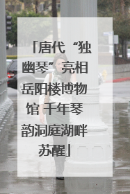 唐代“独幽琴”亮相岳阳楼博物馆 千年琴韵洞庭湖畔苏醒